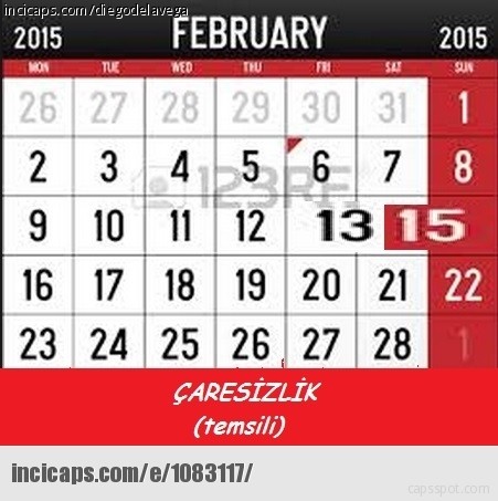 14 Şubat capsleri - Resim: 4