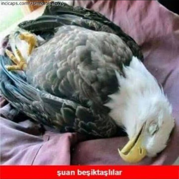 Galatasaray - Fenerbahçe maçı sonrası capsler - Resim: 2