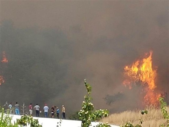 Adrasan'da orman yangını! - Resim: 1