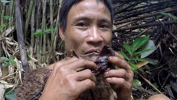 Ormanda 41 yıl survivor - Resim: 4
