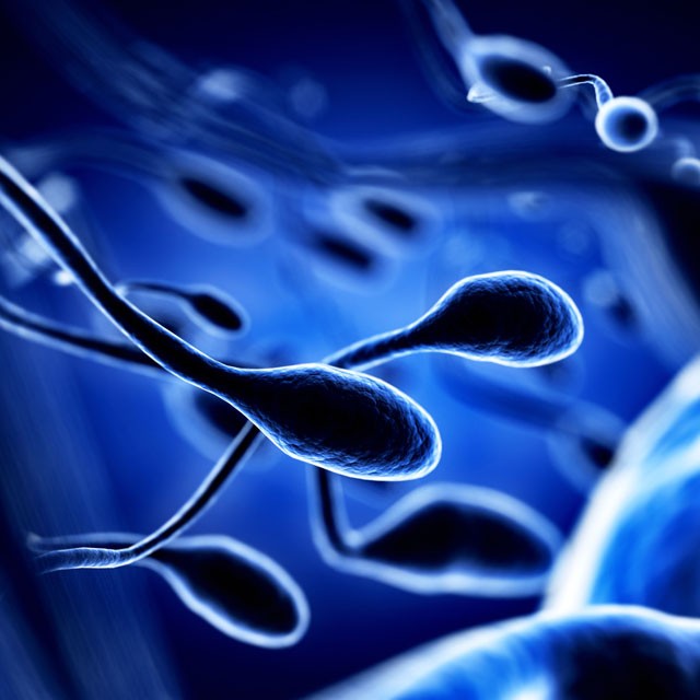 Spermin bilmediğiniz faydaları - Resim: 3