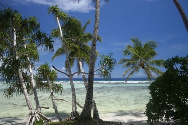 Mikronezya'da 100 liraya ada kazandı! - Resim: 1