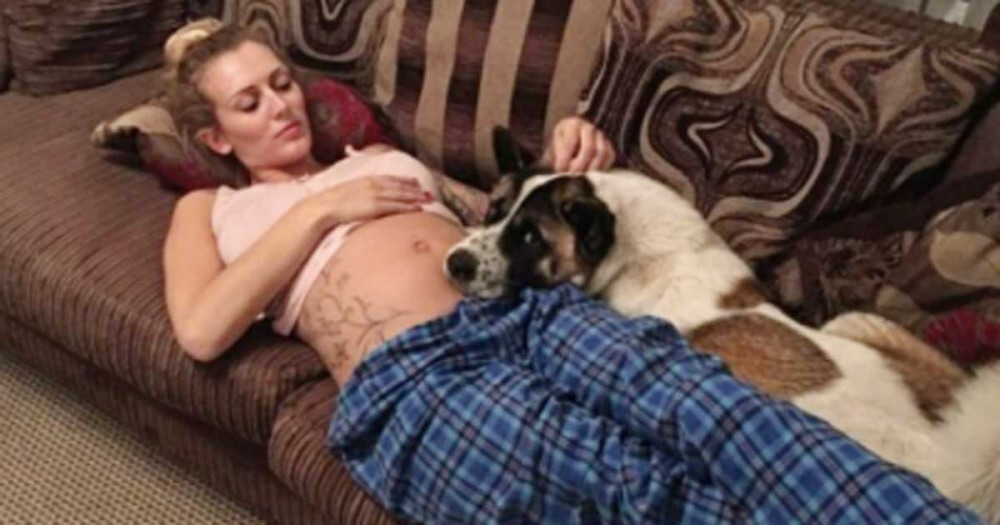 Hamile kadının hastalığını ilk önce köpeği hissetti ve bakın ne yaptı! - Resim: 2