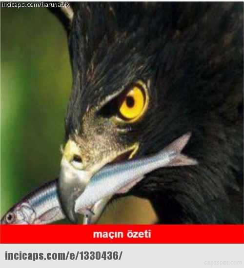 Trabzonspor-Beşiktaş maçının ardından güldüren capsler - Resim: 2