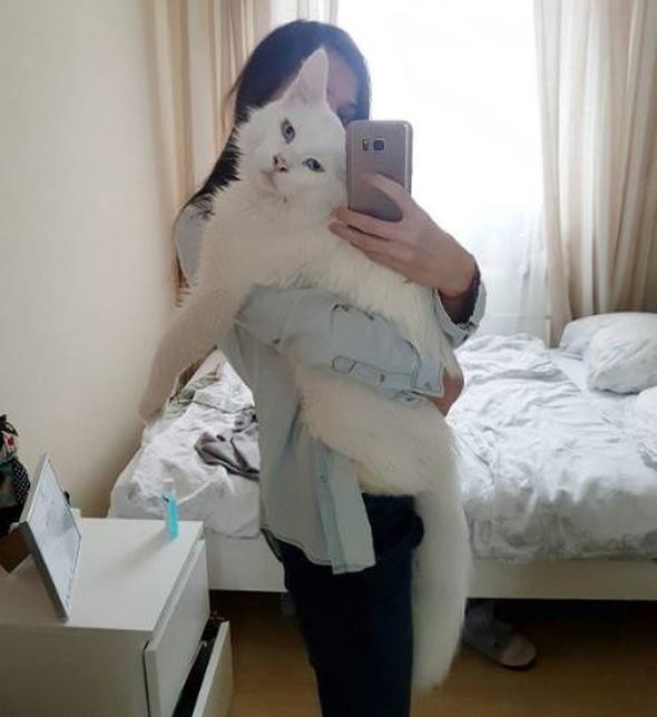 Rusya'nın fenomen kedisi Tihon'dan ilginç görüntüler - Resim: 4