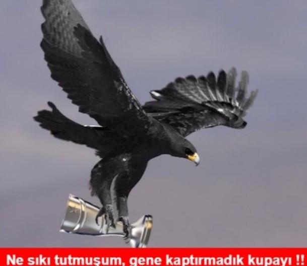 Beşiktaş şampiyon oldu capsler patladı - Resim: 4