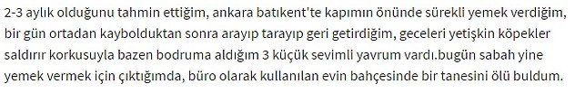 Ankara'da yavru köpeğe tecavüz iddiası! - Resim: 2