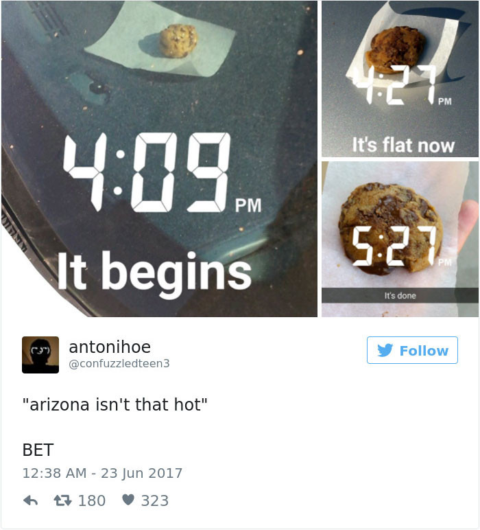 Sıcaklığın 50 dereceyi bulduğu Arizona'dan ilginç erime kareleri - Resim: 3