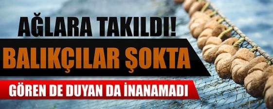 Haber sitelerinin yok artık dedirten başlıkları - Resim: 1