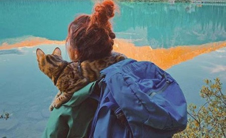 Kedisiyle dünyayı gezen Kanadalı gezgin Instagramın yeni fenomeni - Resim: 4