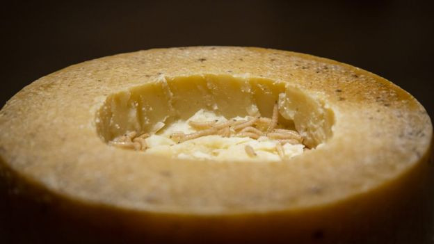 Boğa penisinden kurtçuklarla kaplı peynire dünyanın iğrenç yiyecekleri - Resim: 3