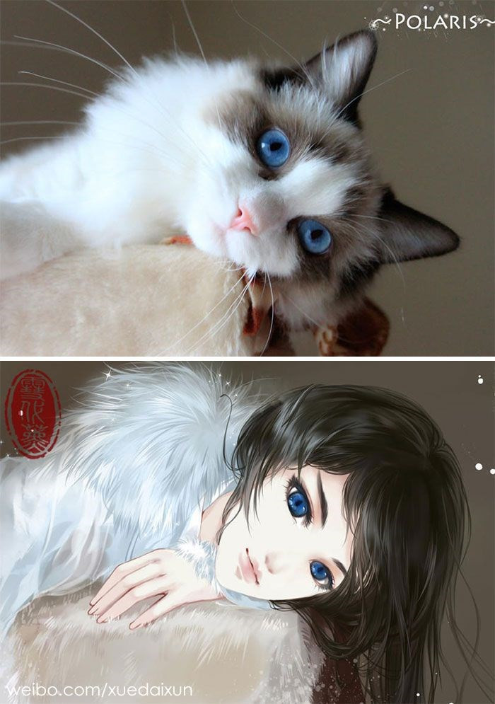 Kediler insan olsaydı... Çinli sanatçının ilginç çalışması - Resim: 1