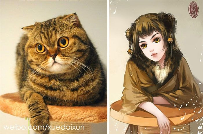 Kediler insan olsaydı... Çinli sanatçının ilginç çalışması - Resim: 4