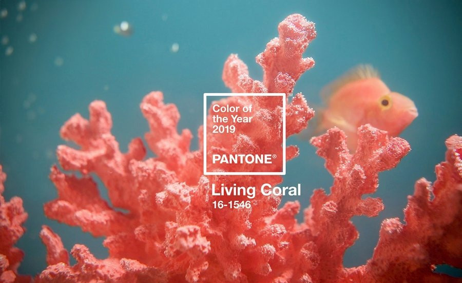 Pantone Renk Enstitüsü 2019'un rengini açıkladı: Living Corel - Resim: 1