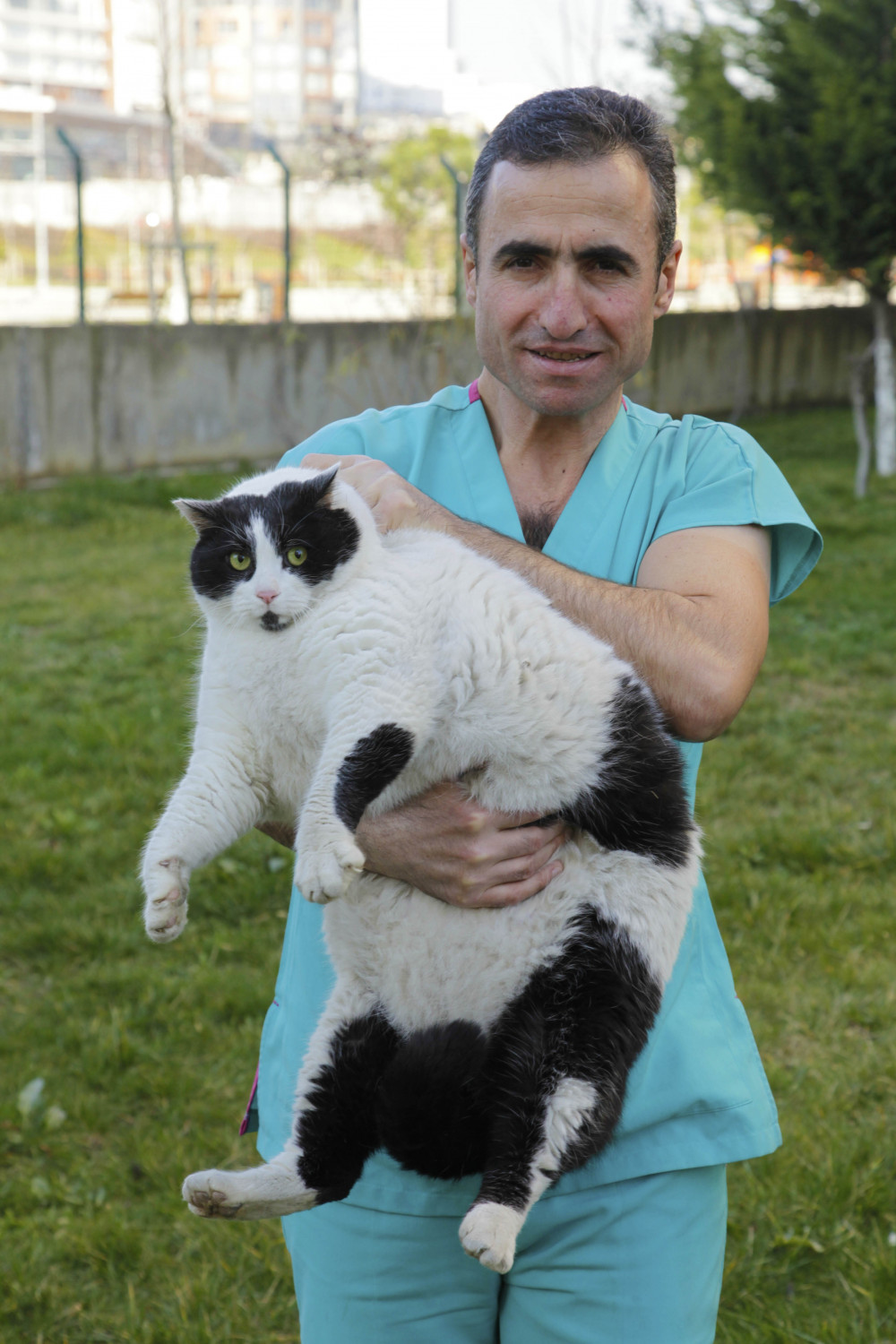 18 kiloluk kedi diyete girdi - Resim: 3
