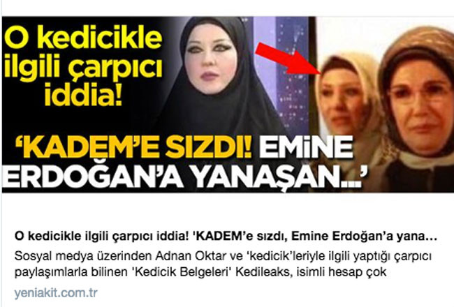 Yeni Akit: Kedicik, Emine Erdoğan'a yanaştı, KADEM'e sızdı - Resim: 2