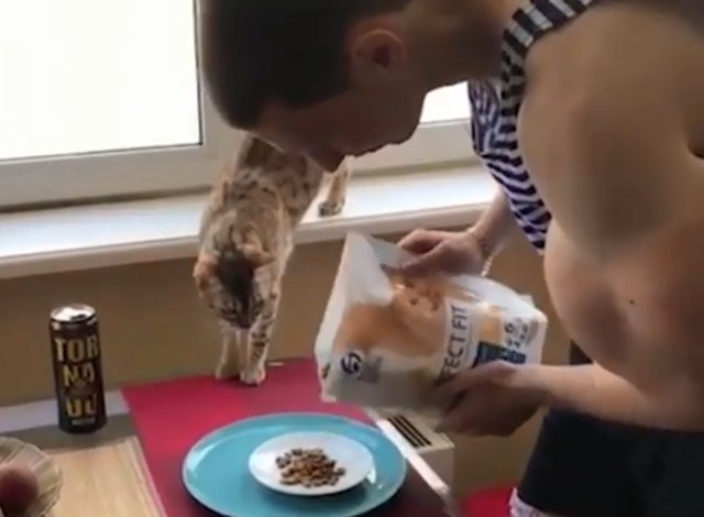 Kol kası yapmak için kedi maması yiyen Rus gencin son hali şoke etti - Resim: 1