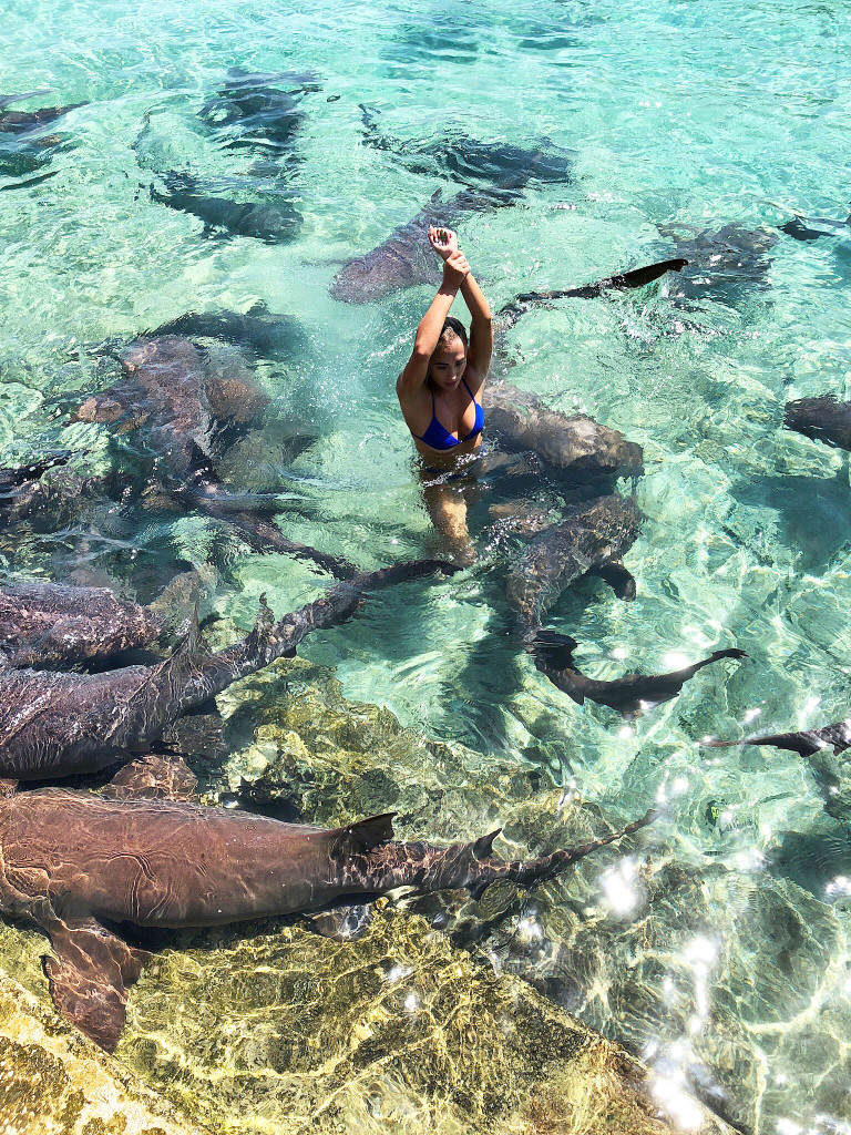 Instagram pozu verirken köpekbalığı kolunu ısırdı! - Resim: 2