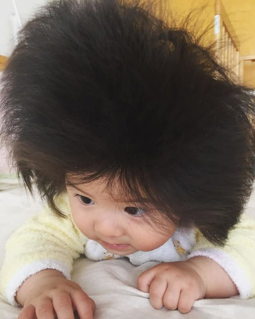 Japon bebek Chanco gür saçları ve şirinliğiyle sosyal medyada gündem oldu - Resim: 2