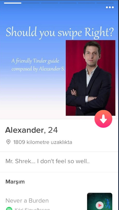 Tinder'da eşleşme şansını artırmaki çin Power Point sunumu ile kendini tanıtan adam - Resim: 3