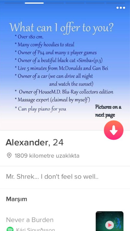 Tinder'da eşleşme şansını artırmaki çin Power Point sunumu ile kendini tanıtan adam - Resim: 4