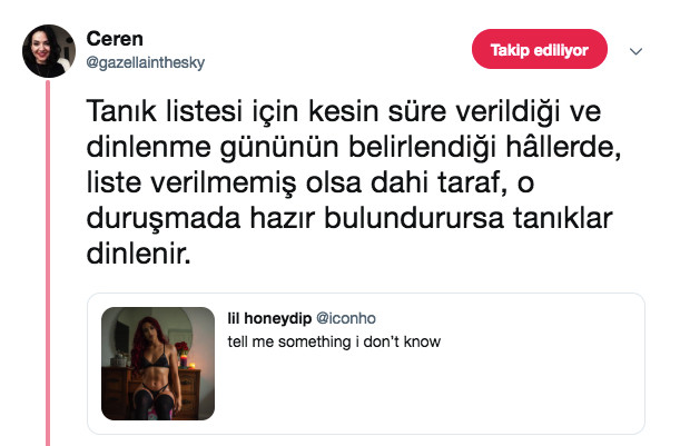 İç çamaşırıyla paylaşım yapan kadına Türk takipçilerinden ilginç mesajlar - Resim: 4