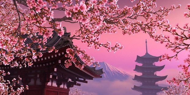 Japonya’da yeniden doğuş: Sakura zamanı hakkında bilmeniz gerekenler - Resim: 1