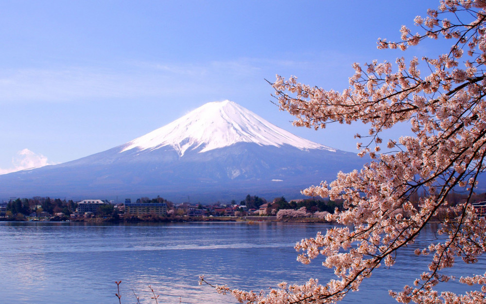 Japonya’da yeniden doğuş: Sakura zamanı hakkında bilmeniz gerekenler - Resim: 3