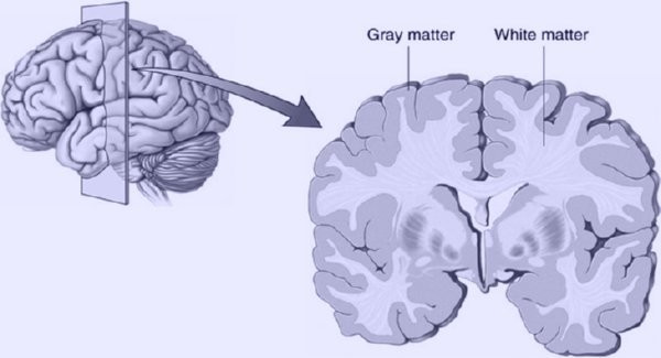 İnternetin beyin fonksiyonları üzerindeki etkisi bakın nelermiş - Resim: 4