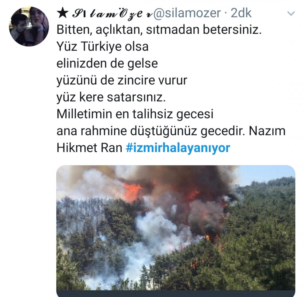 İzmir'deki ormanlar rant uğruna mı yakılıyor? - Resim: 2