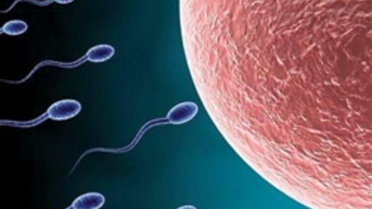Yapay sperm erkeklerin sonunu mu getirecek? - Resim: 2