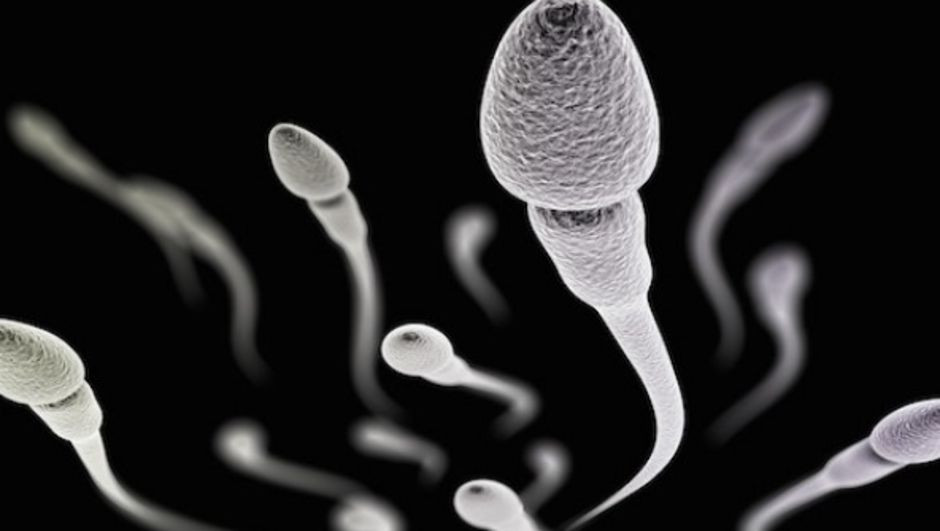 Yapay sperm erkeklerin sonunu mu getirecek? - Resim: 3