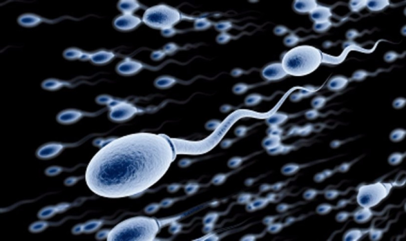 Yapay sperm erkeklerin sonunu mu getirecek? - Resim: 4