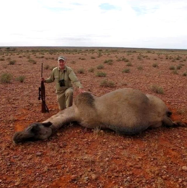 Avustralya'da katliam başladı! Keskin nişancılar öldürdükleri develerin yanında poz verdi - Resim: 3
