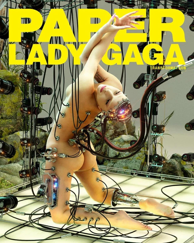 Gaga Avatar! Lady Gaga Paper dergisi için soyundu - Resim: 1