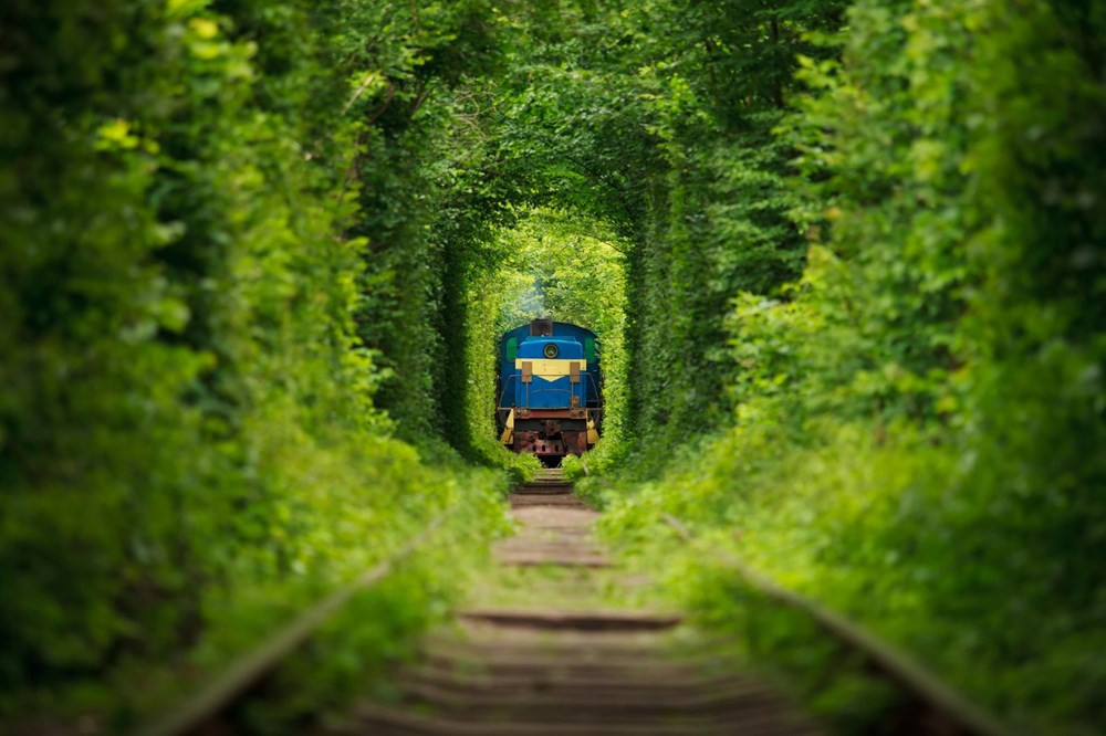Sadece masallarda olur dedirten yer: Ukrayna Aşk Tüneli (Tunnel of Love) - Resim: 1