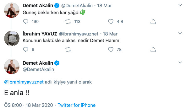 Demet Akalın'ın Sosyal Medyada insanı şaşkına çeviren yorumları - Resim: 2