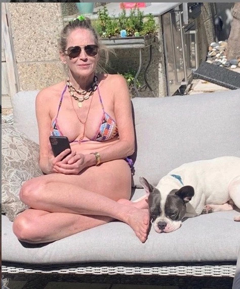 62 yaşındaki Sharon Stone'dan kasklı bikinli poz - Resim: 2