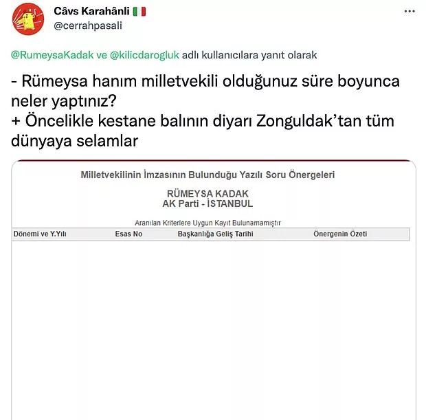 Kestane Balı Göndermesi Yapan AKP'li Rümeysa Kadak'a Tepki Yağdı - Resim: 4