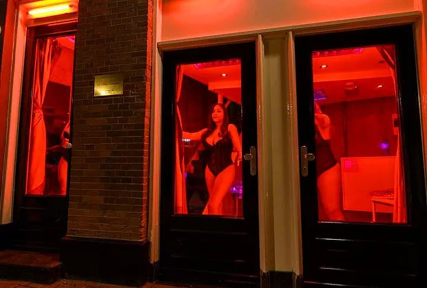 Hollanda'yı 2 Milyon Euro Dolandırdı Parayi Sex İşçilerine Verdim Dedi - Resim: 2