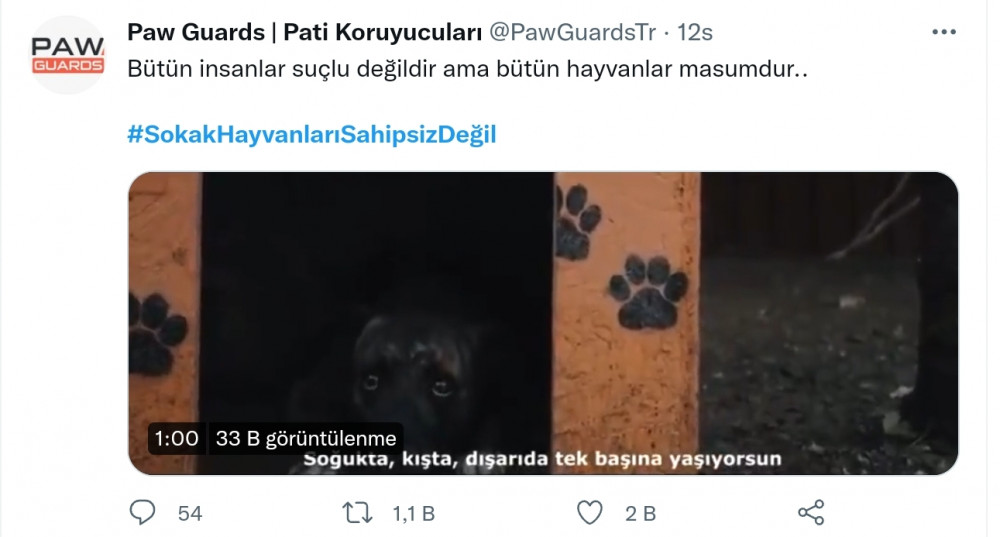 Erdoğan'ın Sokak Hayvanları Talimatı Sert Tepki Çekti: #SokakHayvanlarıSahipsizDeğil - Resim: 4
