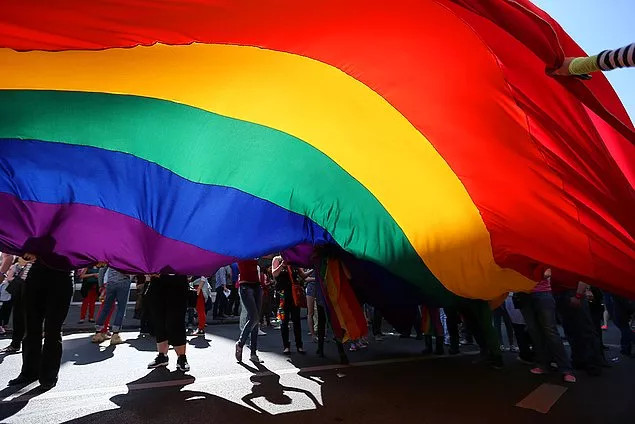 Süleyman Soylu Neden LGBTİ+ Derneklerini Hedef Aldı? - Resim: 4