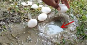 YouTube Fenomeni Suya Yumurta Kırarak Balık Avladı - Resim: 1