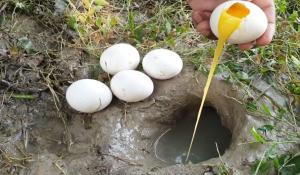 YouTube Fenomeni Suya Yumurta Kırarak Balık Avladı - Resim: 2