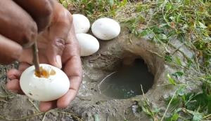 YouTube Fenomeni Suya Yumurta Kırarak Balık Avladı - Resim: 3