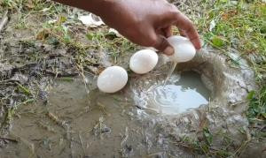 YouTube Fenomeni Suya Yumurta Kırarak Balık Avladı - Resim: 4