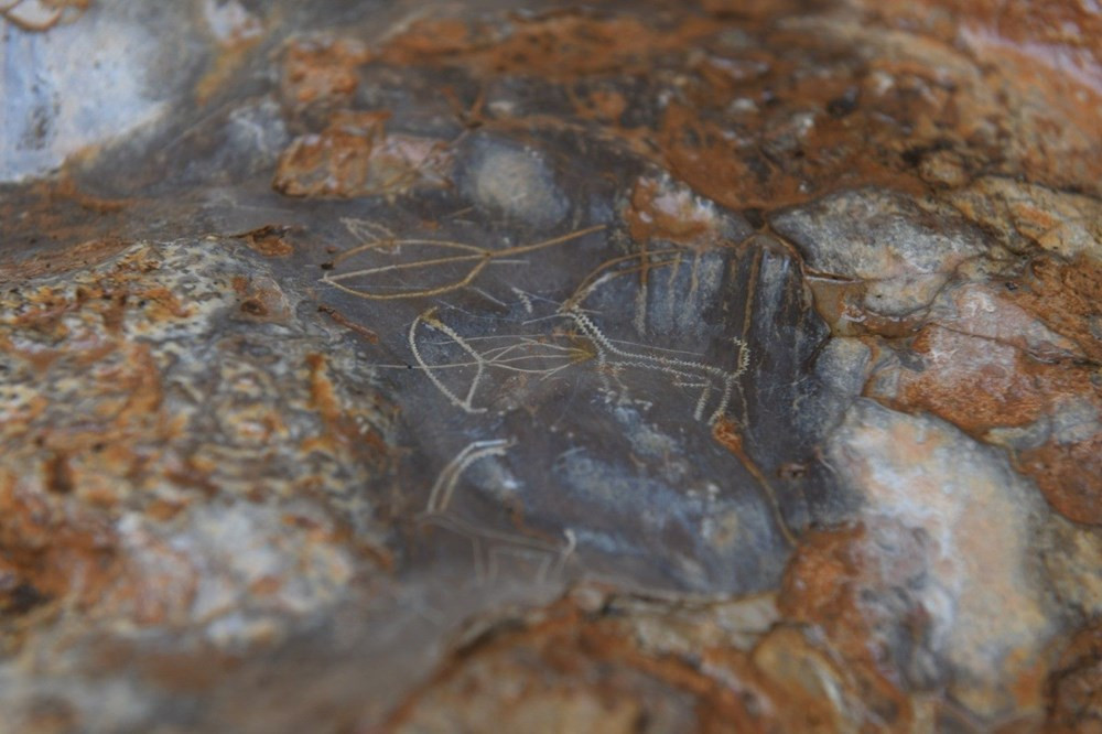 Mersin'de 8 Bin Yıllık Olduğu Düşünülen Mağara Çizimleri Keşfedildi - Resim: 1