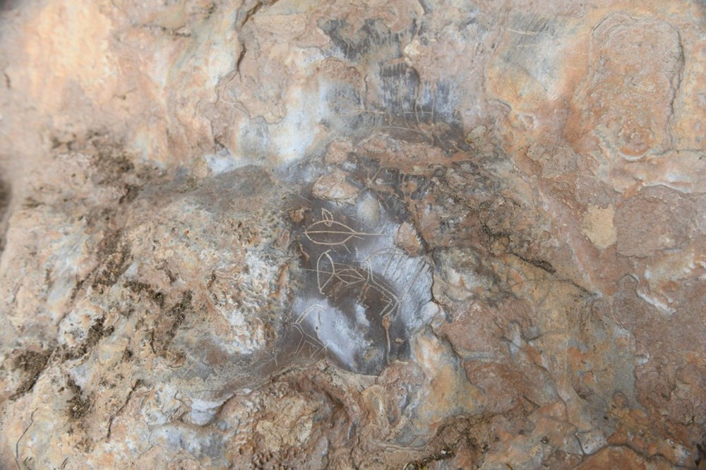 Mersin'de 8 Bin Yıllık Olduğu Düşünülen Mağara Çizimleri Keşfedildi - Resim: 3