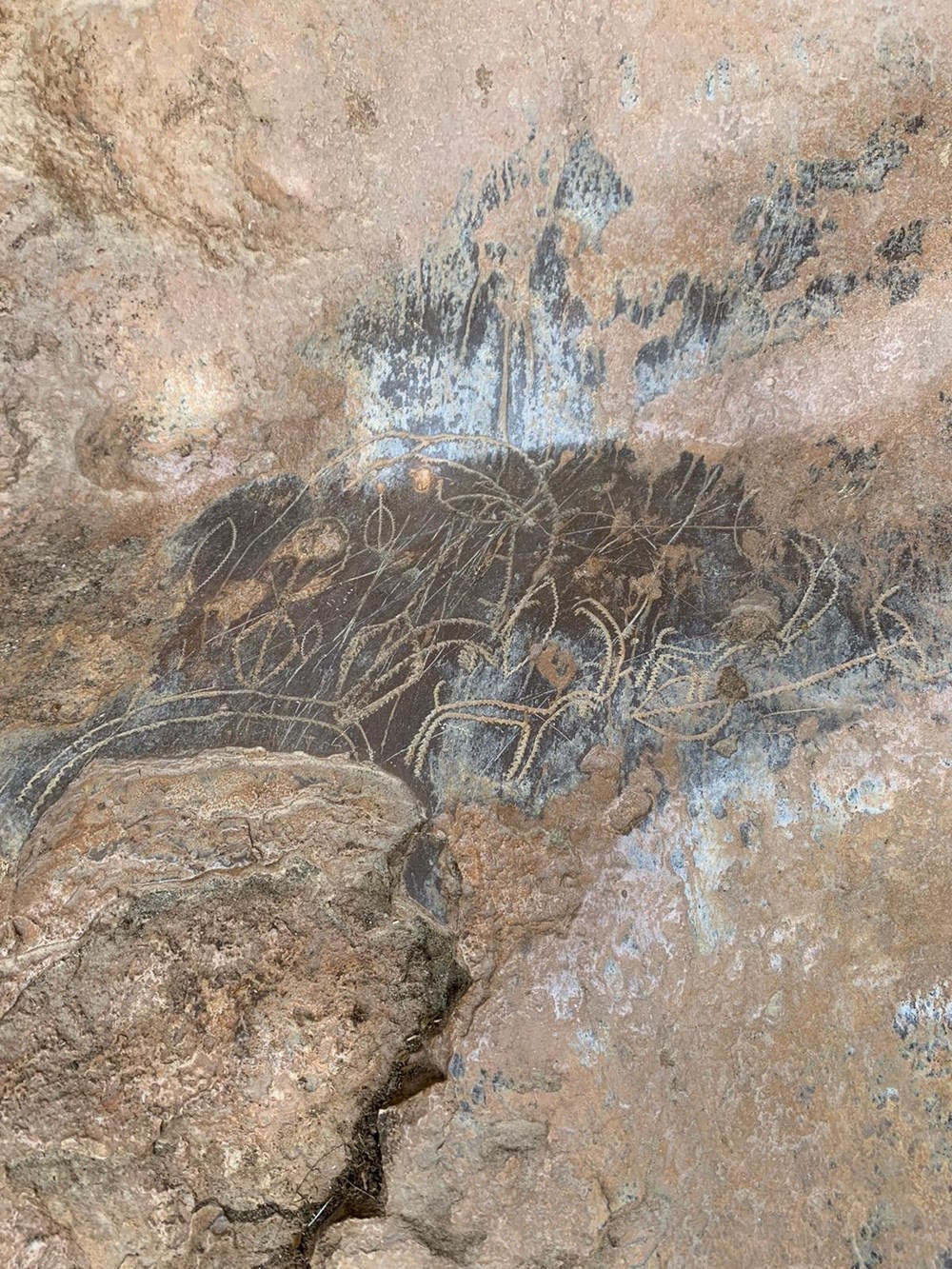 Mersin'de 8 Bin Yıllık Olduğu Düşünülen Mağara Çizimleri Keşfedildi - Resim: 4