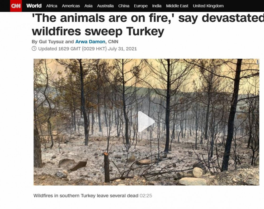 Dünya Türkiye'deki Yangınları Korkuyla İzliyor - Resim: 3
